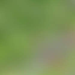 Brands Hatch here we come!!!