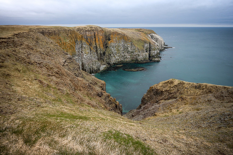 4. Newfoundland-Cape-St.Marys-2-Wilco-2013.jpg