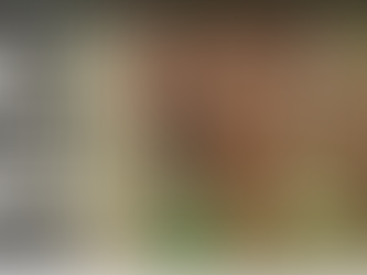 How to Dig a Ditch Fast Using Your Tractor