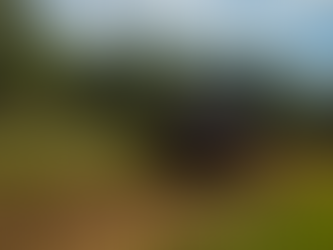 Preparing Your Soil for Planting