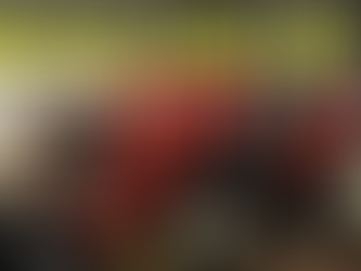 Is This Really the Best Homestead and Small Farm Tractor?