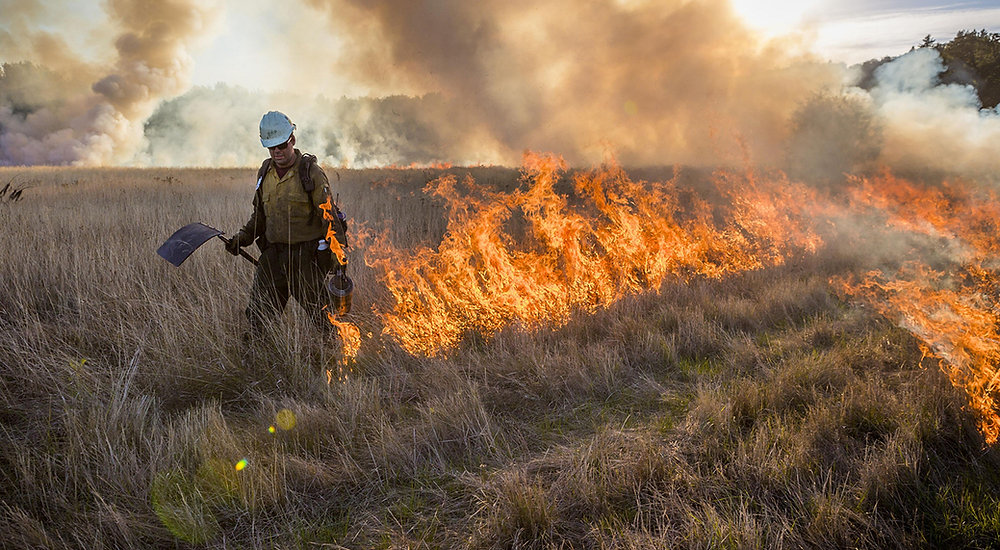 I Want to Do a Controlled Burn