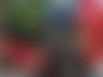 My Tractor Wont Start