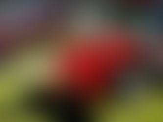 TYM T574HC Tractor Review