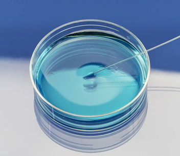 Flex tip for gentle touch_01.jpg