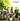 iyatra Quartet - Around the World in 80 Vegetables!