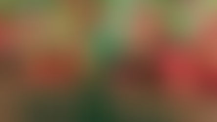 Farmers Markets in Gaston County Spring Opening Days & Local Produce Guide