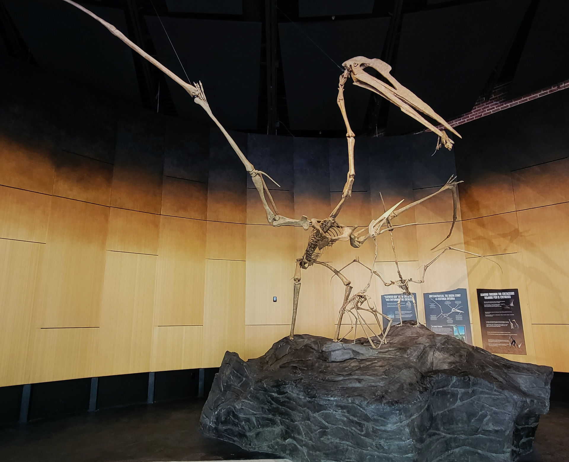 Schiele Museum of Natural History