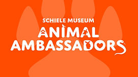 Animal Ambassadors