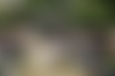 Why Gaston County is the Perfect Wedding Destination with Year-Round Attractions and Easy Access