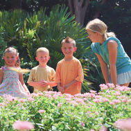 Rediscover Daniel Stowe Botanical Garden this Summer