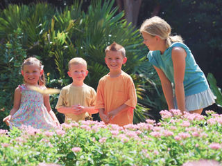 Rediscover Daniel Stowe Botanical Garden this Summer
