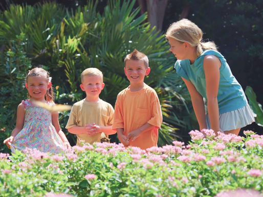 Rediscover Daniel Stowe Botanical Garden this Summer