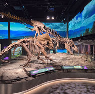 Schiele’s New Dinosaur Hall Is Open Now — and a Great Reason to Visit Gastonia