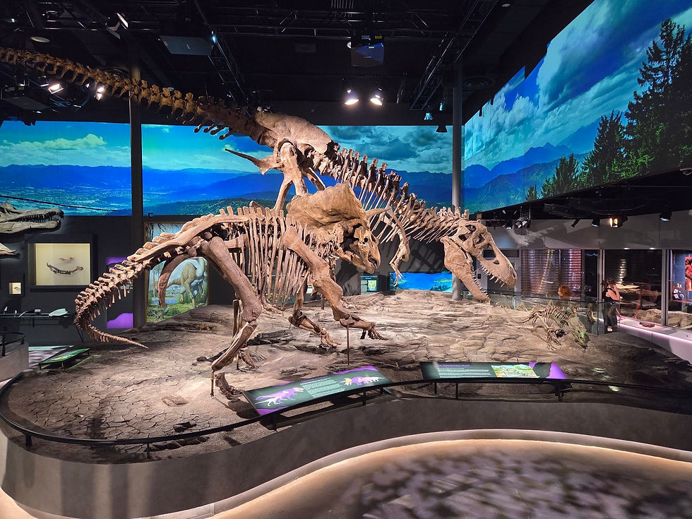 Schiele’s New Dinosaur Hall Is Open Now — and a Great Reason to Visit Gastonia