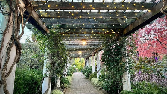 Trellis at Daniel Stowe Conservancy in Winter