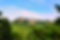 Crowders%20Cliff_edited.png