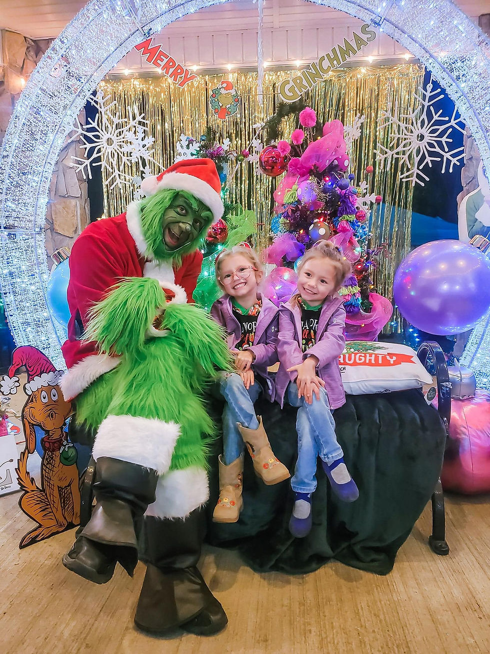 The Grinch at Whoville in Cherryville