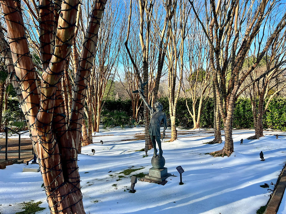 Discover the Unexpected Beauty of Daniel Stowe Conservancy this Winter