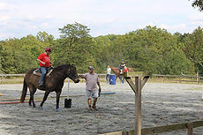 Thing to do in Gaston County