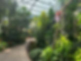 Orchid Conservatory