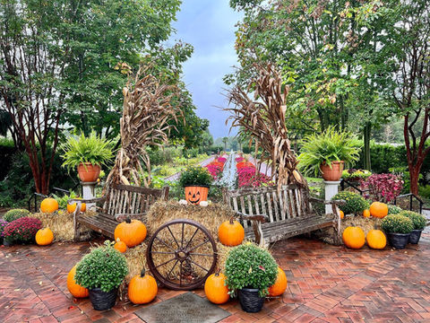 Harvest the Fun in Gaston County This Fall