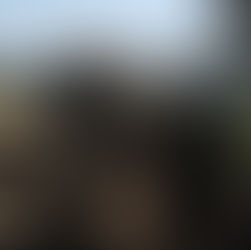 A Valentine's Day Romantic Getaway in Gaston County