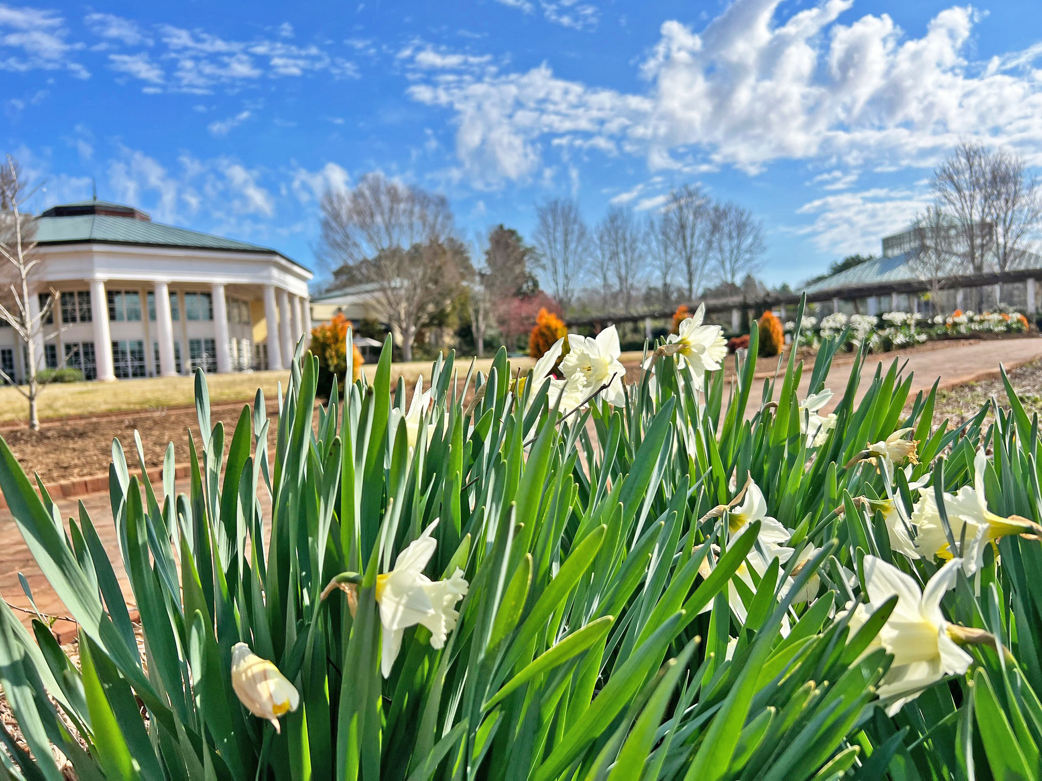 Spring Blossom Getaway | Go Gaston NC