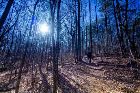 Winter hiking in Gaston County