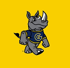 Gaston College Athletics.jpg