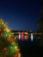 Lit Christmas tree by a lake, colorful lights reflecting on water. Night scene with illuminated buildings and festive mood.