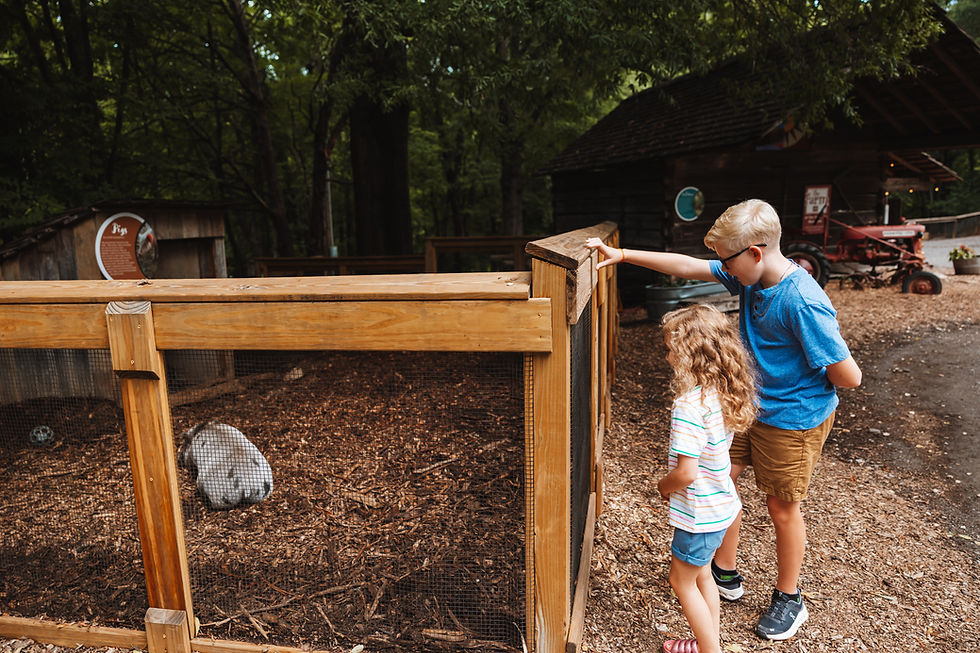 Two children observe a rabbit in an enclosure at a farm. A wooden shed and red tractor are in the background among trees.
