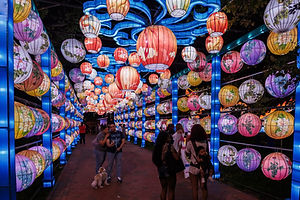 Chinese Lanterns 6.jpeg