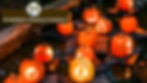 Pumpkin Piddle Paddle October 23, 2026 | Mount Holly