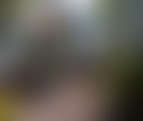 Top Winter Things to Do in Gaston County: Outdoor Adventures, Indoor Fun & More