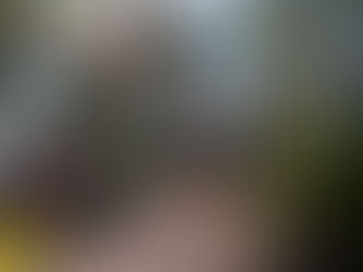 Top Winter Things to Do in Gaston County: Outdoor Adventures, Indoor Fun & More