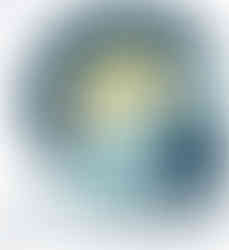 Gaston County Natural Resources Logo