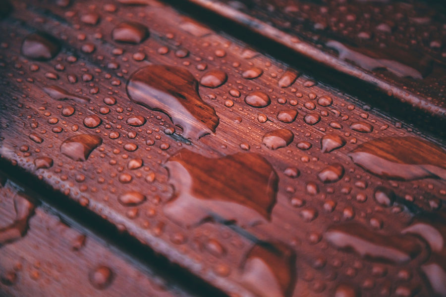 pontus-wellgraf-M85aIccj4Wo-unsplash.jpg