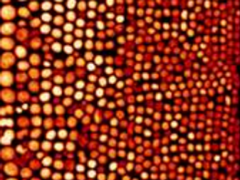 Nuclei.png