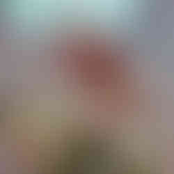 Colourful Weddings 2026 Trend