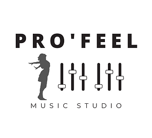 Pro'Feel Logo 7.png