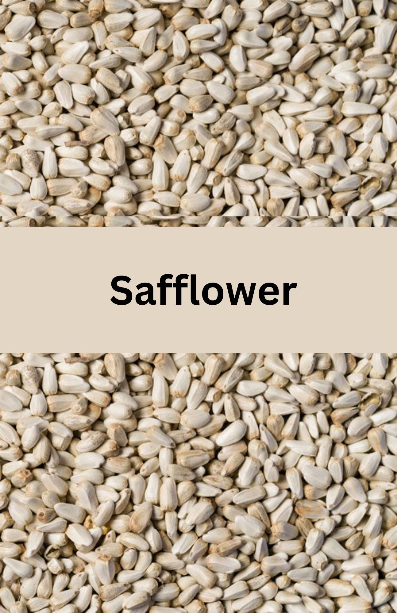 Safflower Seed - 20lbs or 50 lbs