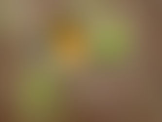 Interested in joining the naming committee? Click to Learn More.