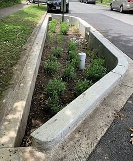Bioretention.jpg