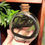 Thumbnail: Garter Snake Circle Wet Specimen