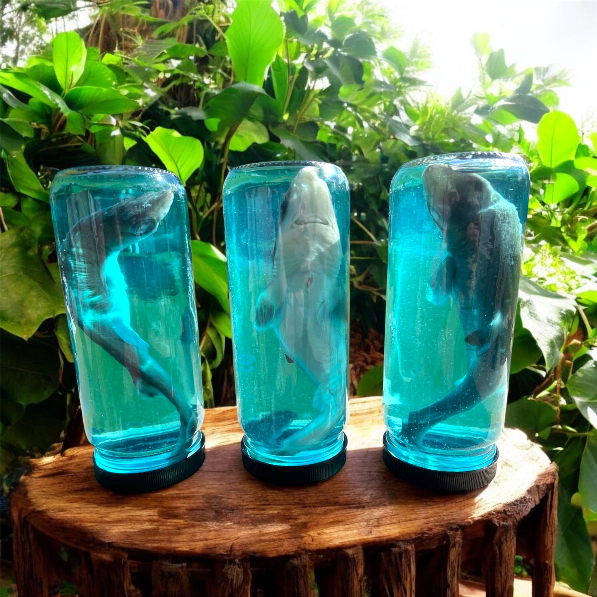 Colored Shark Bottle Wet Specimen