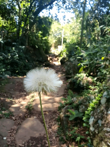 20201020_132116_1.gif