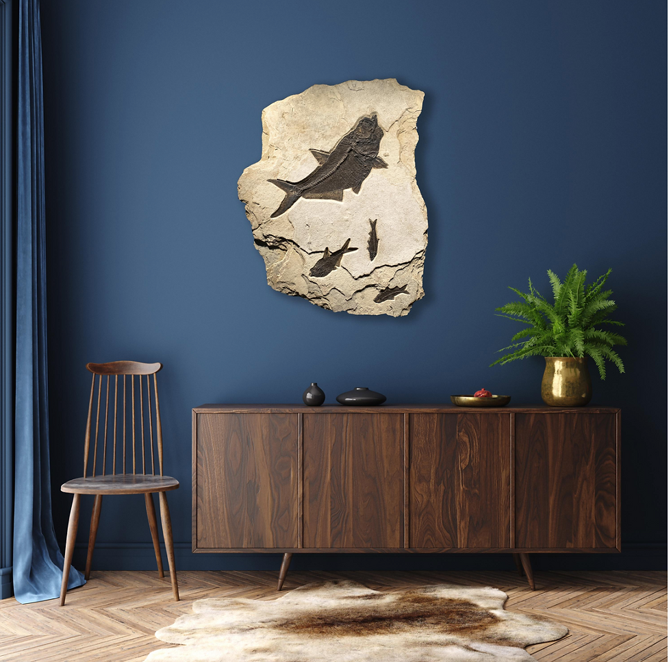 Thumbnail: 50 Million Year Old Eocene Era Fossil Fish Mural in Stone, from Wyoming