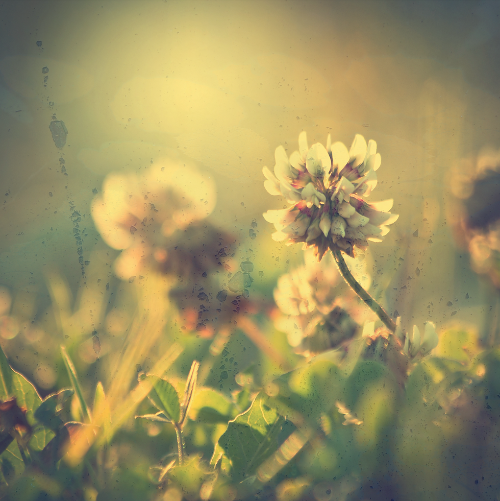 Nature 144