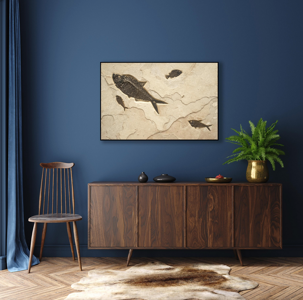 Thumbnail: 50 Million Year Old Eocene Era Fossil Fish Mural in Stone, from Wyoming